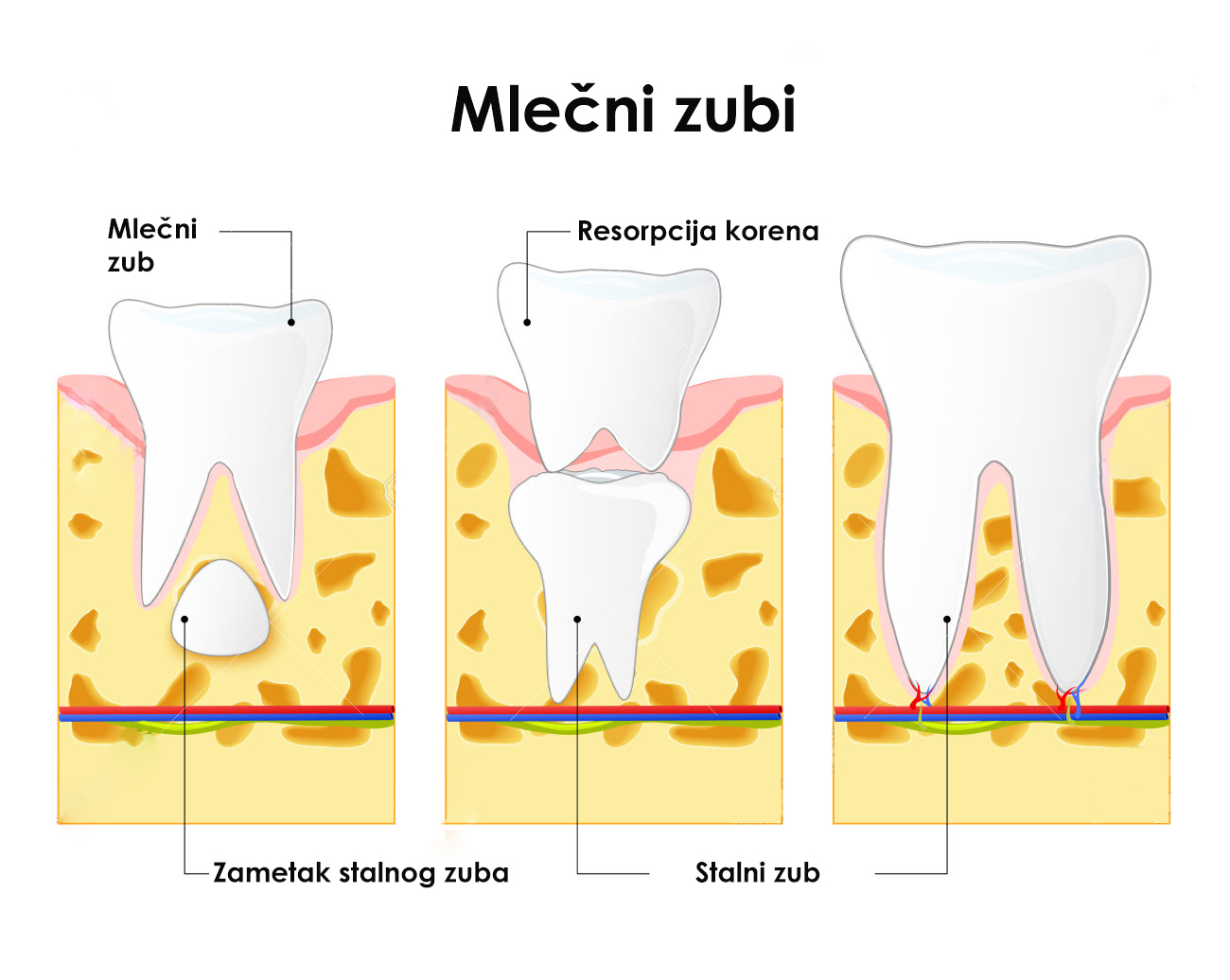 Nicanje zuba